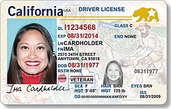 Buy Authentic US driver’s License