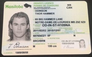 Canadian driving license