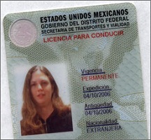 Mexican Driver’s License