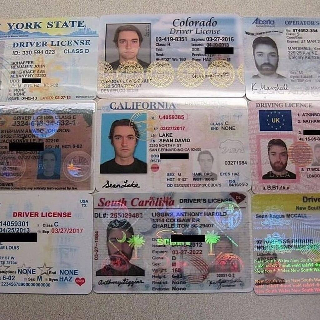 Buy USA drivers license